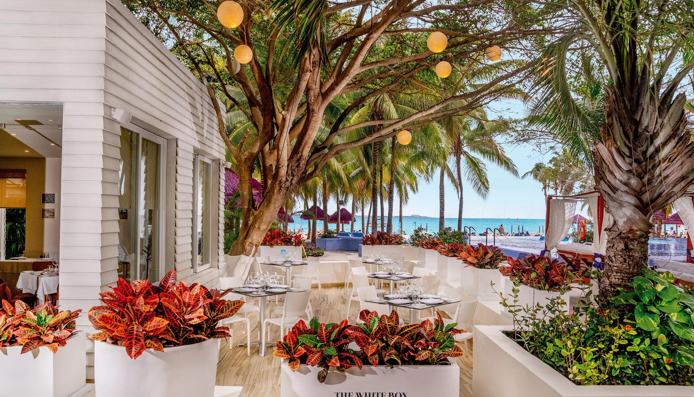 The Sens Cancun by Oasis
